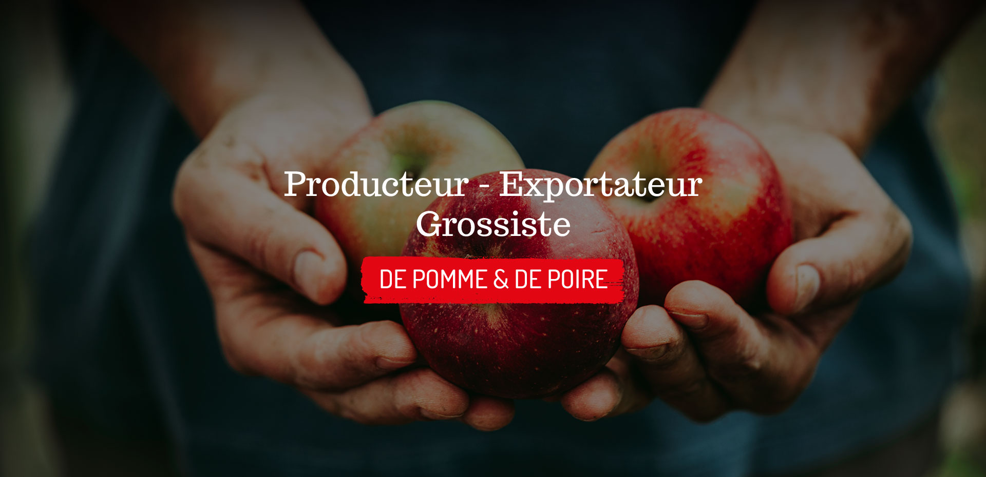 Slide1 Fruits et légumes locaux en Nouvelle Aquitaine
