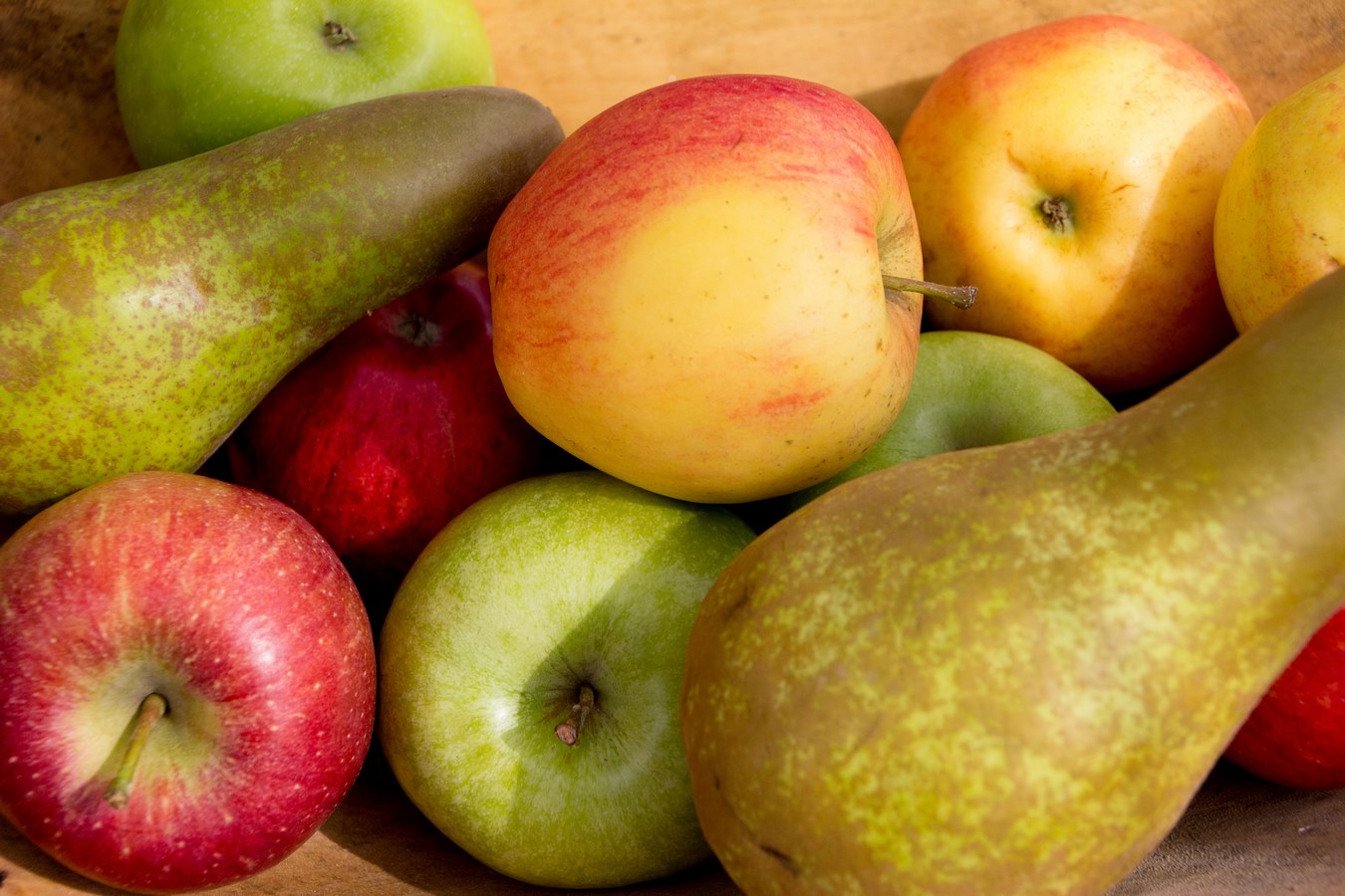 champ de pomme