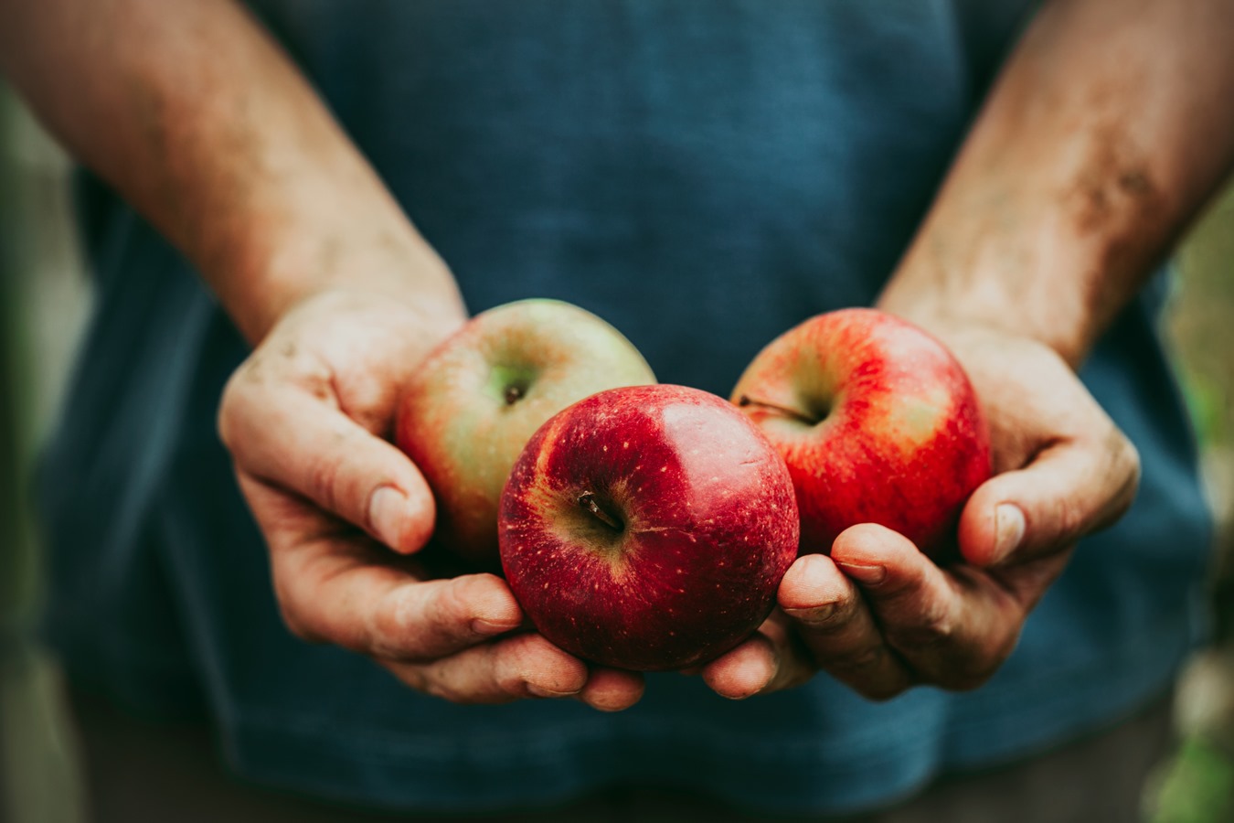 Pomme et poire